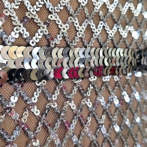 Nwot Adrianna Pappel Shortsleeve Silver Sequin Luxe Mesh/Tan Column Form… - Picture 12 of 17